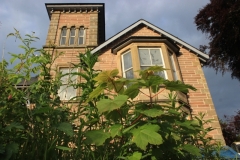 renovation2
